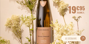 MEGA MENU PINOT GRIS FR.png